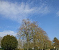 /album/fotogalerie/bildstoff-461-jpg/